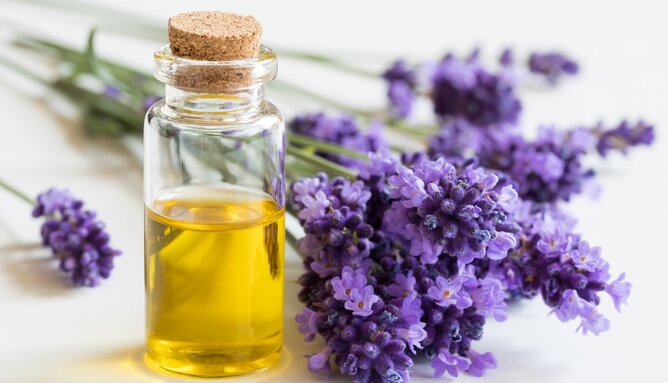 5 Outdoor-Hacks mit Kräutern - SONNENTOR.com